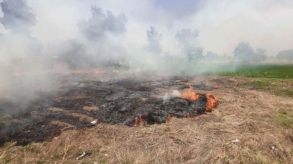incendio forestal parcela